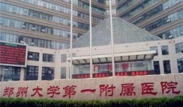 郑大一院的新闻爆料,揭秘重大医疗突破背后的故事
