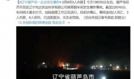 辽宁华孚爆料事件视频最新,真相揭露与舆论风暴