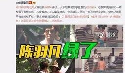 爆料出轨女友视频大全,揭秘娱乐圈明星私生活丑闻