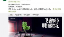 yeah最新爆料