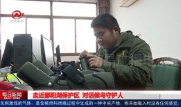 枫丹警察爆料视频播放,揭秘背后真相