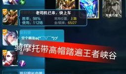 浪仙王者爆料视频,揭秘游戏幕后精彩瞬间