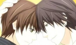 bl冤罪在线观看,BL冤罪在线观看深度解析