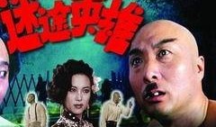迷途英雄在线观看,逆境重生，勇闯天涯