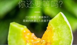 网红吃瓜感言图片高清,揭秘幕后真相，带你领略娱乐圈风云变幻