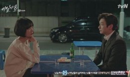 秘密森林在线观看,揭秘神秘森林的惊险冒险之旅