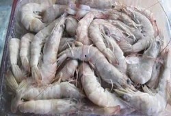 南美大白虾爆料事件视频,揭露行业黑幕与真相