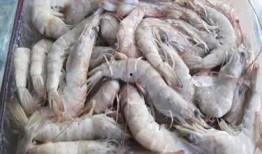 南美大白虾爆料事件视频,揭露行业黑幕与真相