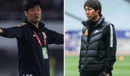 爆料国足主帅视频播放全集,视频全集深度解析