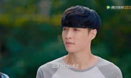 男明星女朋友爆料视频大全,男明星女朋友爆料视频大盘点