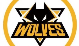 狼队老林爆料视频大全,揭秘球场内外那些不为人知的瞬间