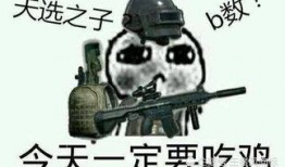 骚瓜吃鸡视频下载免费版,畅享游戏乐趣！