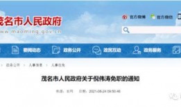 茂名今日头条新爆料,独家爆料，揭秘茂名最新动态！