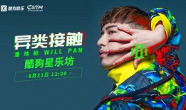 星星娱乐爆料,娱乐圈最新动态大揭秘