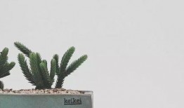 义乌网友爆料最新事件处理结果,义乌网友爆料事件处理结果揭晓