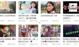 湖湾网红爆料视频大全集,揭秘网红圈幕后故事