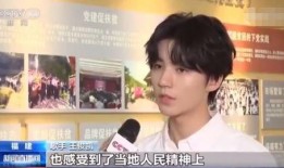 实名爆料王俊凯视频,揭秘明星背后的真实生活