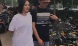 郑爽张恒爆料新闻视频,情感纠葛与真相大白