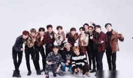 老王爆料新祥瑞视频下载,老王爆料新祥瑞视频下载背后的秘密