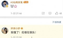 狼队老林爆料视频大全,揭秘球场内外那些不为人知的瞬间