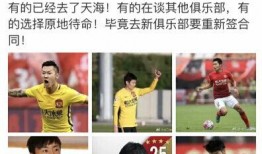 大白最新爆料功勋,功勋背后的故事与传奇