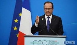 法国总统爆料新闻报道,揭秘新闻背后的真相