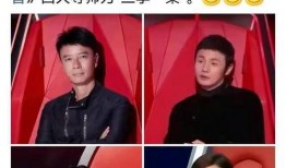 新晋博主爆料最新消息,娱乐圈最新动态大揭秘！