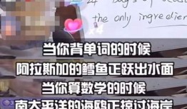 许盼和董宇辉爆料视频,娱乐圈幕后真相大曝光