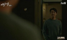 秘密森林在线观看,揭秘神秘森林的惊险冒险之旅