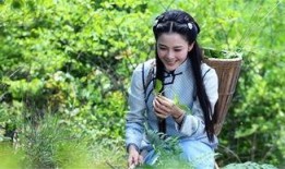 电视剧忍冬艳蔷薇在线观看,情感纠葛与时代变迁的交织