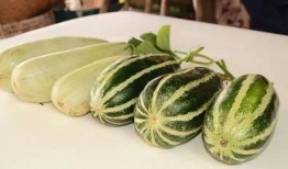 网红吃瓜是钓鱼吗,揭秘网络钓鱼的新手段