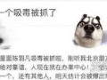 爆料娱乐圈吸毒事件视频,揭秘明星隐秘生活