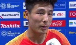 爆料国足主帅视频播放全集,视频全集深度解析