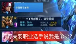 浪仙王者爆料视频,揭秘游戏幕后精彩瞬间