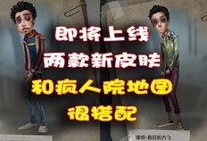 第五官方最新爆料,揭秘神秘事件背后真相！”