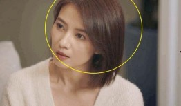 老陈爆料邓刚视频播放,揭秘背后惊人真相