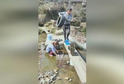 农村的爆料花哥视频大全,揭秘乡村生活百态