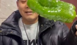 网红吃瓜感言图片高清,揭秘幕后真相，带你领略娱乐圈风云变幻