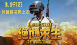 骚瓜吃鸡视频下载免费版,畅享游戏乐趣！