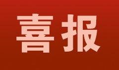 东营负面新闻爆料电话,揭露不文明现象，共建和谐家园