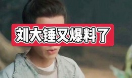 娱乐爆料大锤视频,娱乐爆料背后的真相大起底