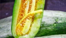 韩城网红吃瓜,揭秘幕后故事与热门话题