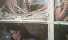 野店 电影在线观看,深山秘境中的生死较量