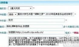 东莞新闻爆料投稿流程,轻松参与，共建和谐社区