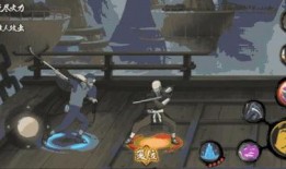 半藏忍者爆料视频大全,揭秘忍界风云录