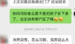 爆料深圳某网红视频大全,热门内容盘点与幕后故事