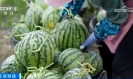 网红古风大瓜爆料视频,一场古韵风情的爆料盛宴