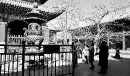 香炉最新爆料视频播放网站,揭秘神秘视频网站背后的秘密