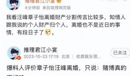 圈内人爆料离婚的人,离婚风波背后的真相与反思