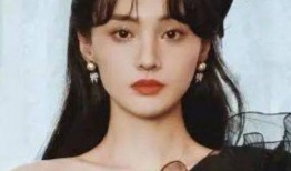 郑爽张恒爆料新闻视频,情感纠葛与真相大白